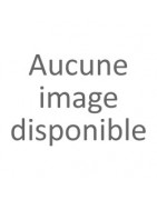 détection incendie conventionnel